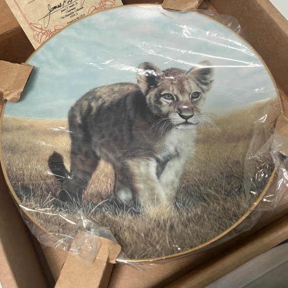 Young Explorer by Charles Fracé  Small Wonders of the Wild Plate # 3607 C - Picture 4 of 13